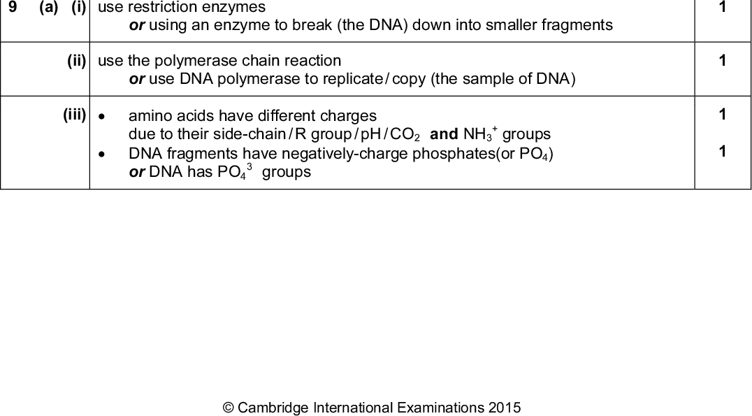 Page 7 Cambridge International A LevelMay/June 2015 Mark Scheme Syllabus Paper 9701 43 (b) (i) labelled diagrams or in wordsthe enzyme has a specific shape or substrate shape is complementary to active site the substrate bonds / binds / fits to the active site or other substrates do not fit into active site (ii) labelled diagrams or in words inhibitor binds to enzyme away from the active site or inhibitor binds to allosteric site this changes the shape (or structure) of the active sitesubstrate no longer fits the active site 1 1 1 1 1 [Total: 10] 1 1 (a) (i) use restriction enzymes or using an enzyme to break (the DNA) down into smaller fragments (ii) use the polymerase chain reaction or use DNA polymerase to replicate / copy (the sample of DNA) amino acids have different charges due to their side-chain / R group / pH / CO2 and NH3 (iii)+ groupsDNA fragments have negatively-charge phosphates(or PO4) or DNA has PO4 groupsCambridge International Examinations 2015<br />
 Cambridge International A LevelMay/June 2015 Mark Scheme Syllabus Paper 9701 43 Page 8 (iv) A piece of leather from an Egyptian tomb A sample of skin from a mummified body A fragment of ancient pottery A piece of wood from a Roman chariot (b) (i) the electron density in the molecule or positions of atoms or interatomic distance / spacing between the atoms (ii) phosphorus has the most electrons or phosphorus has the highest electron density (c) (i) equilibrium constant (for the solution) of a solute between two (immiscible) solvents or ratio of the concentration of the solute in (each of the) two solvents or ratio of the solubility of the solute in (each of the) two solvents (ii) x / (25 / 1000) (0.0042x)/(25 / 1000) x = 0.02526x x = 0.0036g 10 (a) (i) any three of the following structures CH3CH2CH3 CH3CH=CH2 CH3CCH CH2=C=CH2 (ii) K since it has the greatest % of hydrocarbons / carbon-containing compounds or 99.6 % of it is burnt for energy (iii) any two fromreacted with lime / CaO / soda lime / Ca(OH)2 / KOH / NaOH / liquefied under pressure / 5 atm dissolved in water under pressure / 5 atm (b) (i) have a shorter carbon / hydrocarbon chain or shorter hydrocarbon or fewer carbon atoms in its chain or have high H / C ratio (ii) CoalCambridge International Examinations 2015 1 1 [Total: 10]<br />

